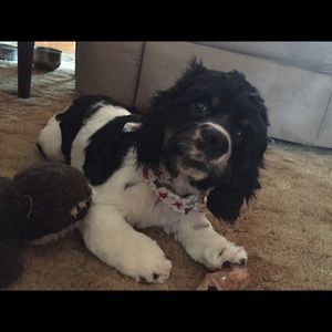 Meet your Posher, Melissa